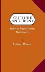 Culture and Irony cover