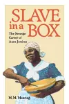 Slave in a Box cover