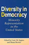 Diversity in Democracy cover