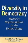 Diversity in Democracy cover