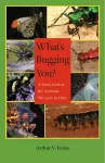 What's Bugging You? cover