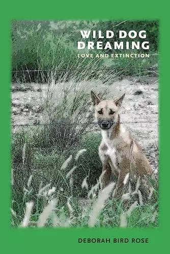 Wild Dog Dreaming cover