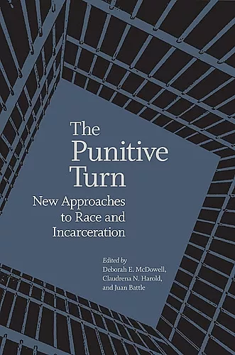 The Punitive Turn cover