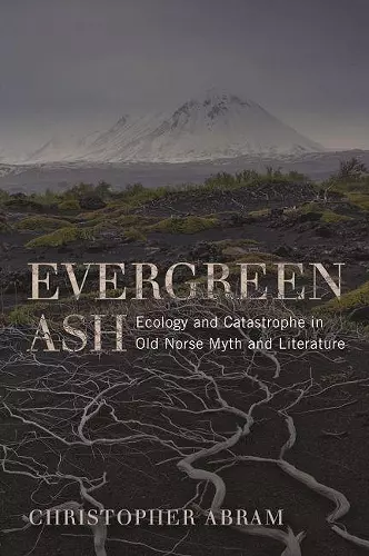 Evergreen Ash cover