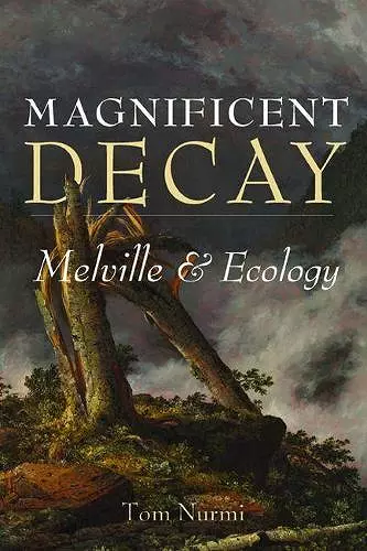 Magnificent Decay cover