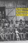 Race, Labor and Punishment in the New South cover