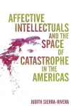 Affective Intellectuals and the Space of Catastrophe in the Americas cover