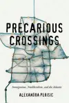 Precarious Crossings cover