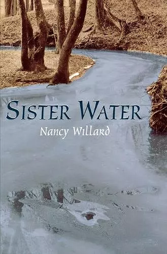 Sister Water cover