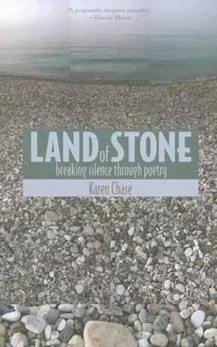 Land of Stone cover