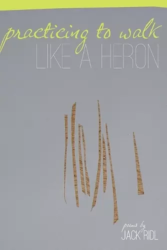 Practicing to Walk Like a Heron cover