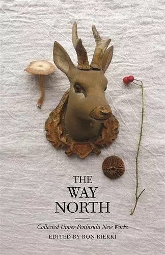 The Way North cover