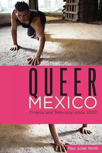 Queer Mexico cover