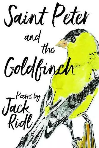 Saint Peter and the Goldfinch cover