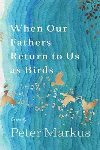 When Our Fathers Return to Us as Birds cover