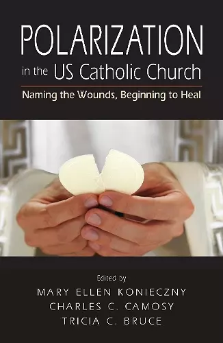 Polarization in the US Catholic Church cover