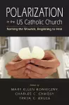 Polarization in the US Catholic Church cover