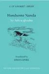 Handsome Nanda cover