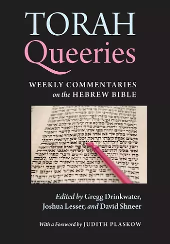 Torah Queeries cover