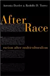 After Race cover