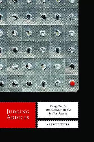 Judging Addicts cover