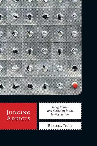 Judging Addicts cover