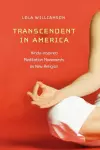 Transcendent in America cover