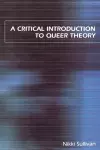 A Critical Introduction to Queer Theory cover