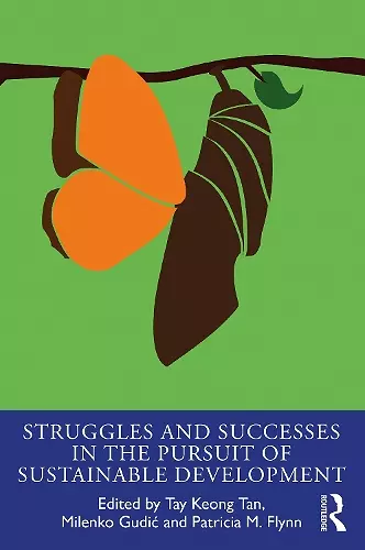 Struggles and Successes in the Pursuit of Sustainable Development cover