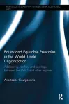 Equity and Equitable Principles in the World Trade Organization cover