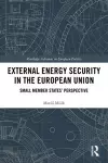 External Energy Security in the European Union cover
