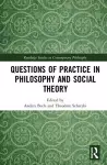 Questions of Practice in Philosophy and Social Theory cover