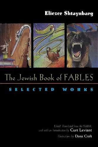 The Jewish Book of Fables cover