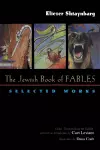 The Jewish Book of Fables cover