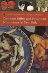 Common Edible and Poisonous Mushrooms of New York cover