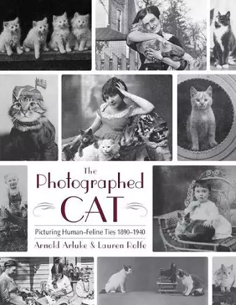 The Photographed Cat cover