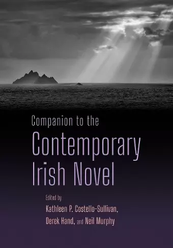 Companion to the Contemporary Irish Novel cover