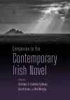 Companion to the Contemporary Irish Novel cover