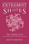 Extremist Shi'ites cover