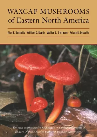 Waxcap Mushrooms of Eastern North America cover