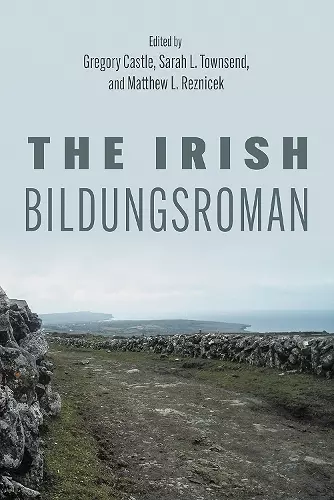 The Irish Bildungsroman cover