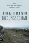 The Irish Bildungsroman cover