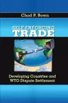 Self-Enforcing Trade cover