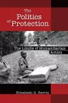 The Politics of Protection cover