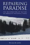 Repairing Paradise cover
