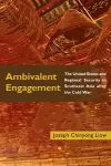 Ambivalent Engagement cover