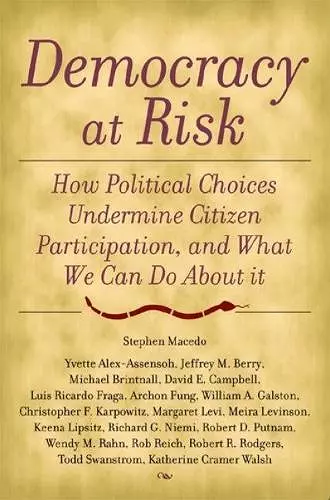 Democracy at Risk cover