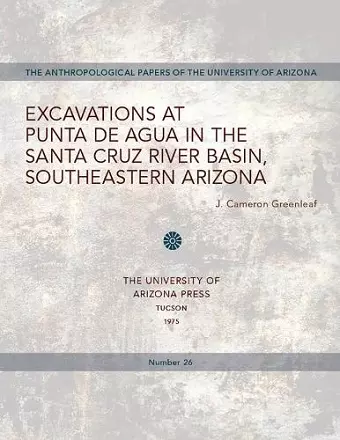 Excavations at Punta de Agua in the Santa Cruz River Basin, Southeastern Arizona cover