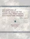 Excavations at Punta de Agua in the Santa Cruz River Basin, Southeastern Arizona cover