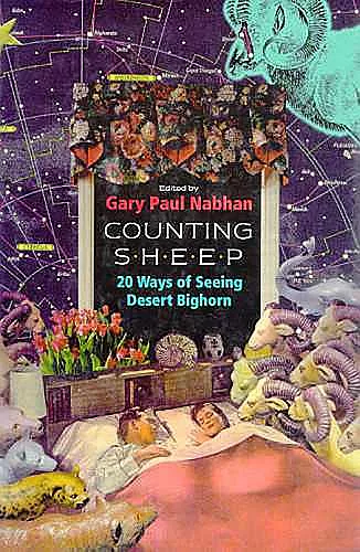 Counting Sheep cover